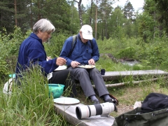 Fikapauas i Munkhyttans NR