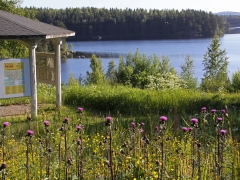 Barken, Dalarna.