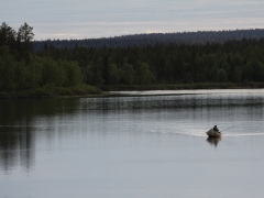 Lomselenäs, Lycksele Lappmark.