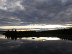 Lomselenäs, Lycksele Lappmark.