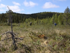 Kurravaara, Jukkasjärvi, T lm.