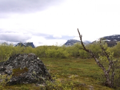 Abisko Östra, Jukkasjärvi