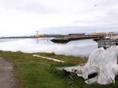 Hamnbild från Andenes.