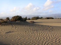 Maspalomasöknen, Maspalomas, Gran Canaria, Spain.