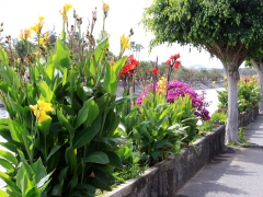 Kanalen ner till la Charca. Maspalomas, Gran Canaria, Spain.