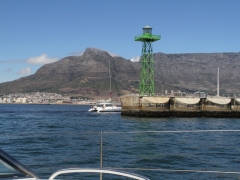 Taffelberget. Table Mountain. Cape Town.