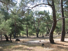 Achladeri. Lesvos.