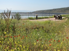 Potamia reservoir.  Lesvos.