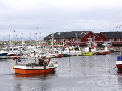 Hamnen i Andenes.