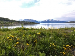 Andøya.