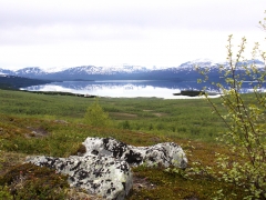 Torne träsk. Abisko.