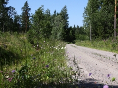 Fjärilsvägen, Grinduga, Gävle, Gästrikland.