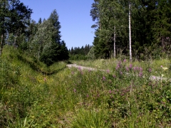 Fjärilsvägen i Grinduga, Gästrikland.