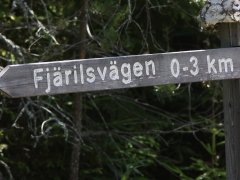 Fjärilsvägen i Grinduga, Gävle, Gästrikland.