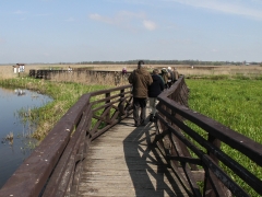 2/5 Bialystok fishponds.