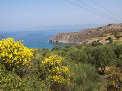 Lesvos.Molivos.