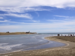 Gran Canaria. Våtmarksområdet La Charca bryter fördämningen mot havet. Maspalomas.