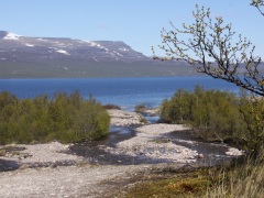 Abisko-Norge. Torne Träsk.