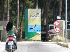 Spanien. På väg mot våtmarksområdet Coto Doñana.