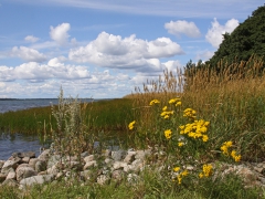 Utsikt från bryggan på Västernäs. Senoren, Ramdala.