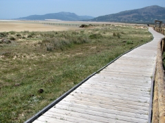 Playa de Los Lances.