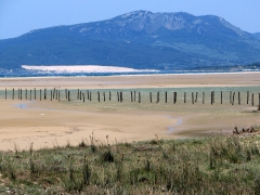 Playa de Los Lances.