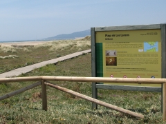 Playa de Los Lances.