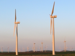 Vindkraftverken breder ut sig och dominerar landskapsbilden på många platser.