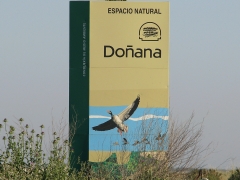 Vi styr mot  Doñana.