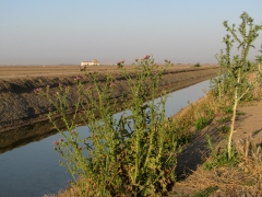 Cöto Doñana.