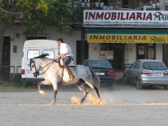 El Rocio är en av Spaniens mest särpräglade städer med en atmosfär som hämtad från en vilda västernfilm.