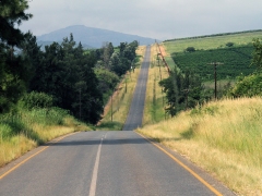 Vi har lämnat Krügerparken, passerat gränskontrollen  och kör vidare mot Swaziland.